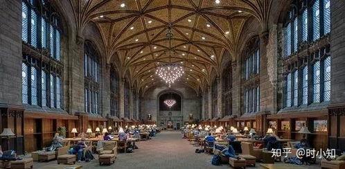 芝加哥大学爆料视频,惊人真相曝光